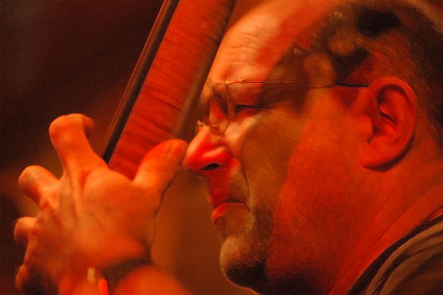 Photo 2, taken by Luis Checa.  Antonio Dom�nguez on the bass.